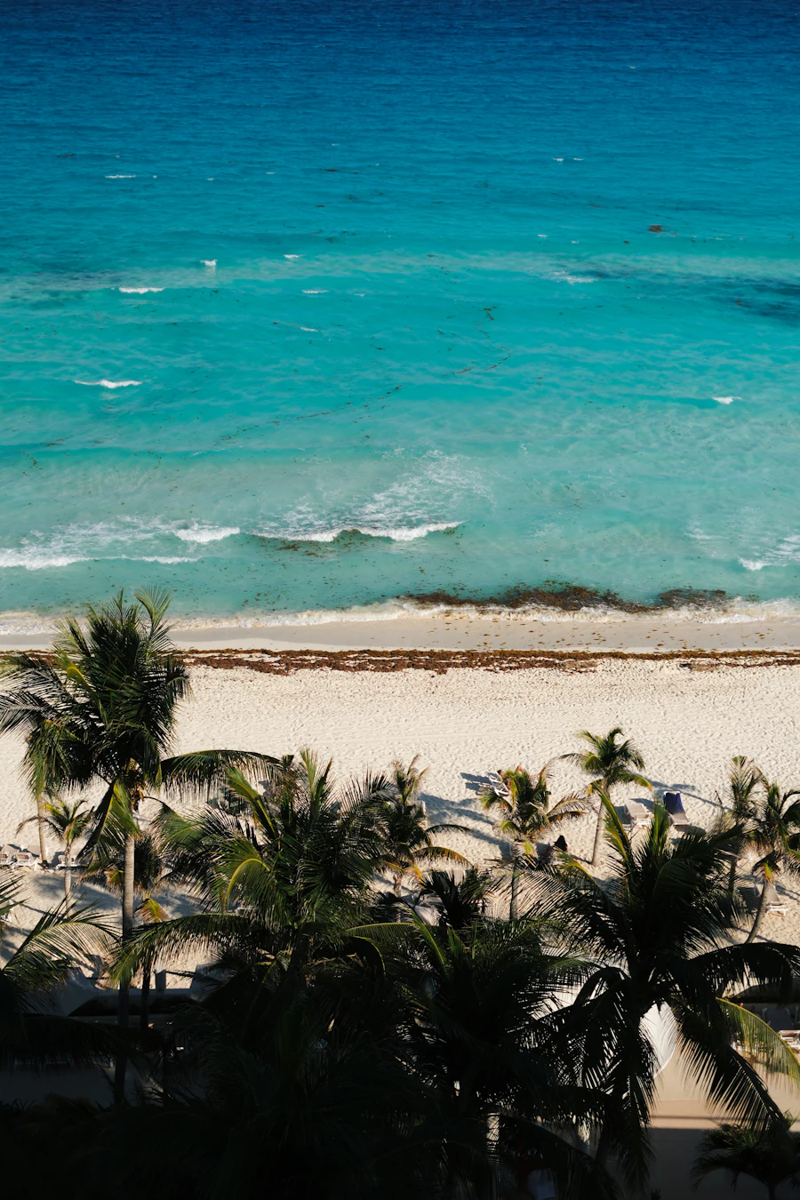 Praia de mar turquesa e coqueiros em Cancún